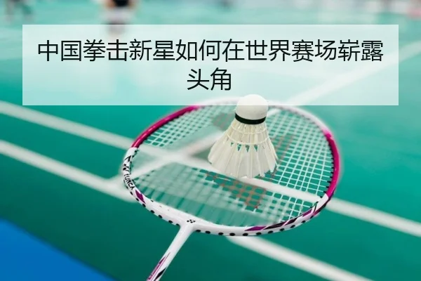 中国拳击新星如何在世界赛场崭露头角